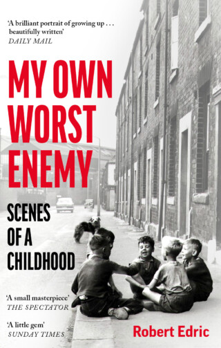 Book cover: My Own Worst Enemy