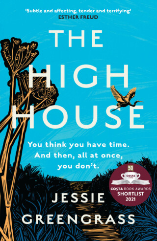 Book cover: The High House