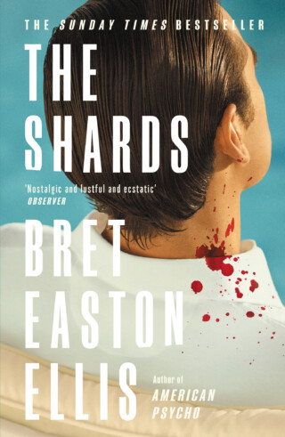 Book cover: The Shards
