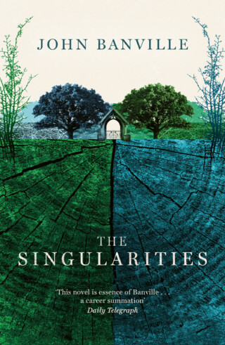 Book cover: The Singularities