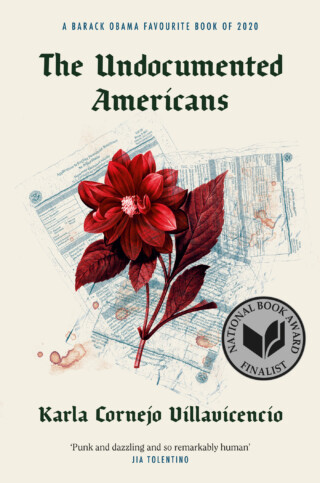 Book cover: The Undocumented Americans