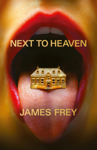 Book cover: Next to Heaven