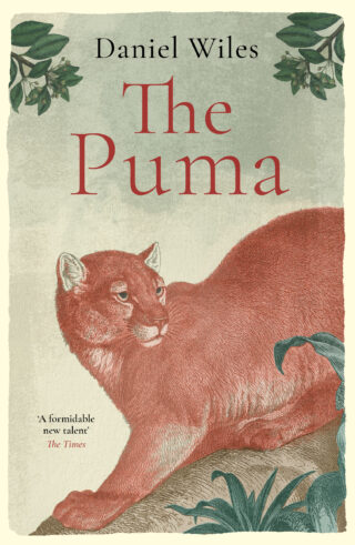 Book cover: The Puma