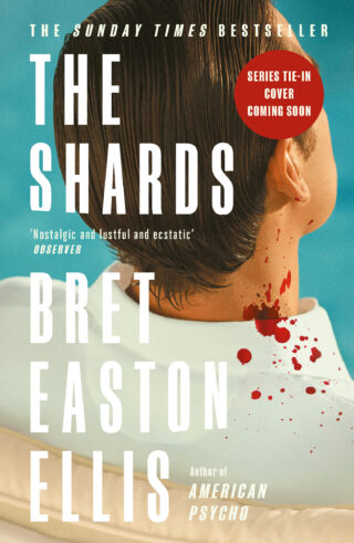 Book cover: The Shards